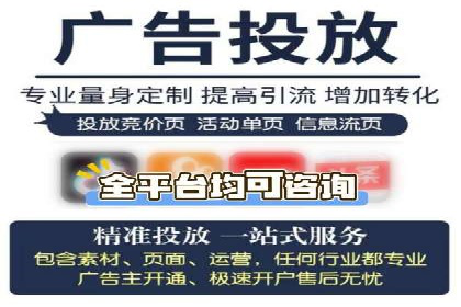 百度竞价广告的投放策略与成功案例分析